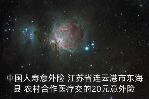 國壽瑞鑫二十元意外險指什么，中國人壽意外險 江蘇省連云港市東海縣 農(nóng)村合作醫(yī)療交的20元意外險