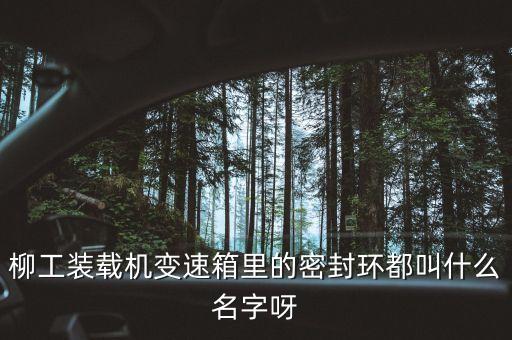 柳工836使用的什么鋼圈，柳工836配用的是什么發(fā)動機(jī)