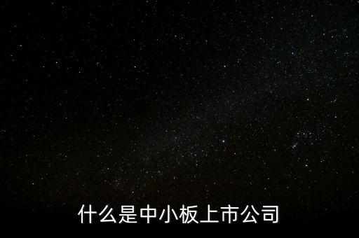 什么是中小板上市公司