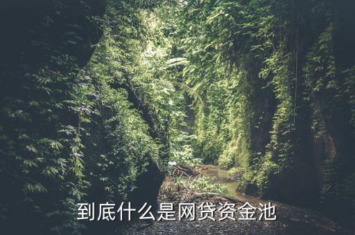 到底什么是網(wǎng)貸資金池
