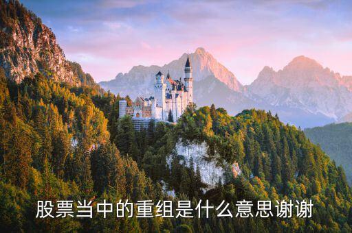 股票當(dāng)中的重組是什么意思謝謝