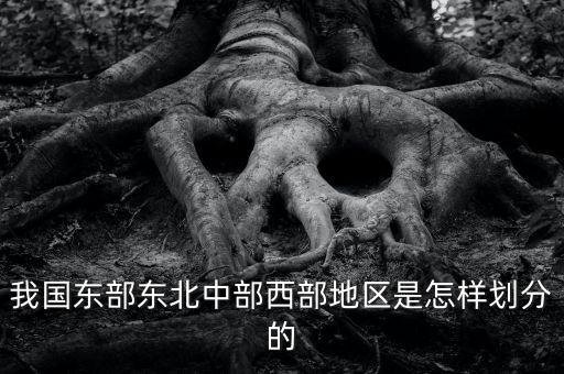 我國東部東北中部西部地區(qū)是怎樣劃分的