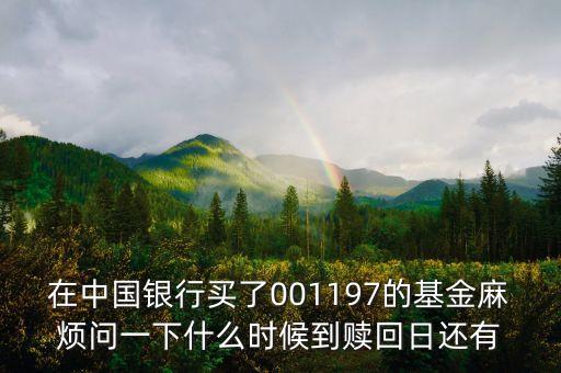 001197是什么風(fēng)險(xiǎn)等級(jí)基金，001197基金今天凈值大成