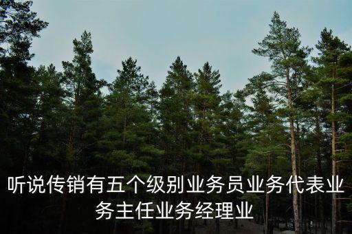 傳銷的最高級(jí)別是什么，聽(tīng)說(shuō)傳銷有五個(gè)級(jí)別業(yè)務(wù)員業(yè)務(wù)代表業(yè)務(wù)主任業(yè)務(wù)經(jīng)理業(yè)