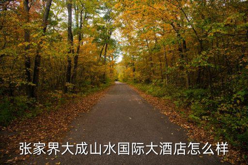 大成山水國(guó)際酒店毛致平是個(gè)什么人，大成山水老總毛致平是哪年出生的