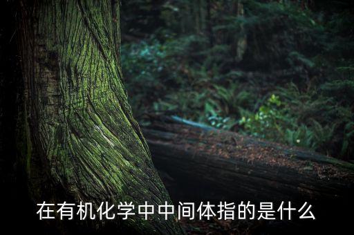 在有機(jī)化學(xué)中中間體指的是什么