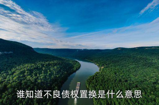 什么是不良資產(chǎn)置換，誰知道不良債權(quán)置換是什么意思