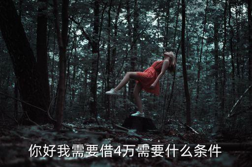 貸款4萬需要什么條件，貸款4萬需要什么條件