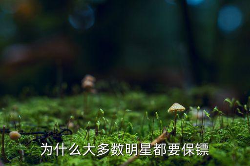 大佬們?yōu)槭裁匆浔ｇS，為什么大多數(shù)明星都要保鏢