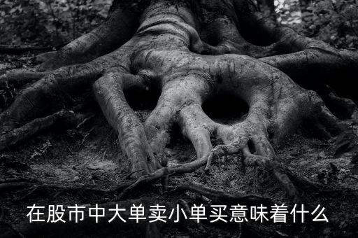 在股市中大單賣小單買意味著什么