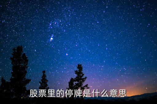 股票里的停牌是什么意思