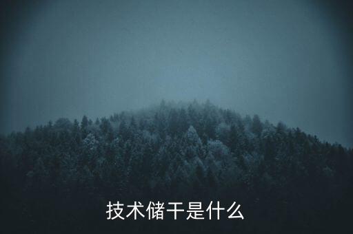 技術(shù)儲(chǔ)干是什么