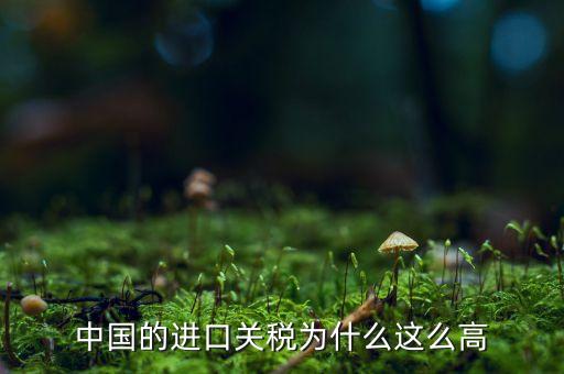 中國為什么高關稅，中國的進口車輛關稅為什么這么高