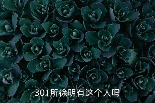 徐明與徐翔什么關(guān)系，301所徐明有這個(gè)人嗎