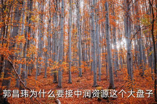中潤資源為什么停牌，000506中潤資源停牌多久可以復(fù)牌