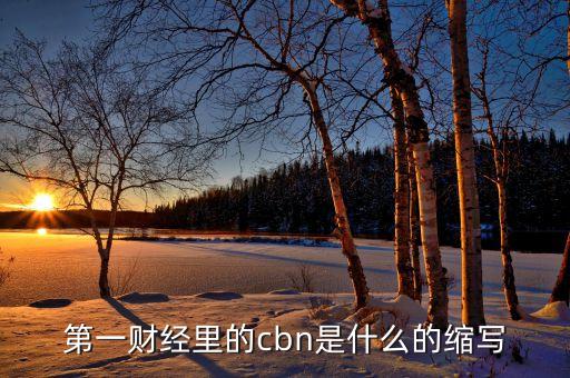 cbn在物流業(yè)中是什么意思，服裝里CBN是什么意思