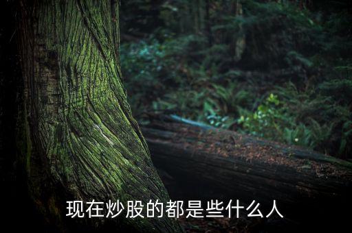 現(xiàn)在炒股的都是些什么人