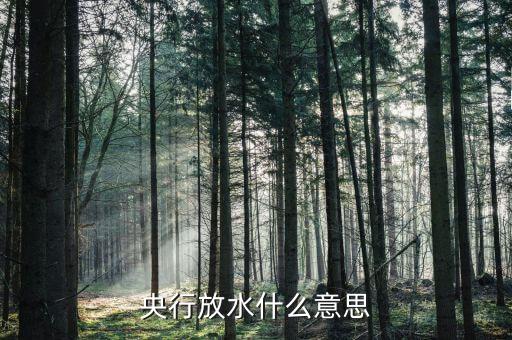 央行放水什么意思