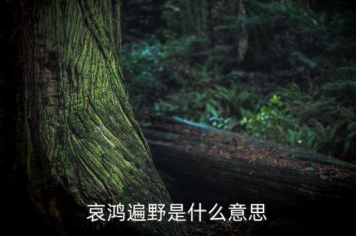 哀嚎遍野是什么意思，哀鴻遍野是什么意思
