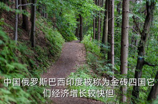 中國俄羅斯巴西印度被稱為金磚四國它們經(jīng)濟(jì)增長較快但