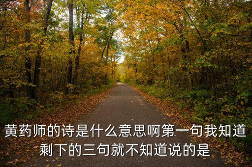 黃藥師的詩是什么意思啊第一句我知道剩下的三句就不知道說的是