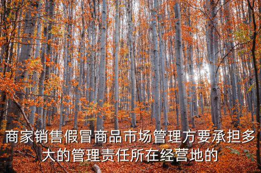 商家銷售假冒商品市場管理方要承擔(dān)多大的管理責(zé)任所在經(jīng)營地的