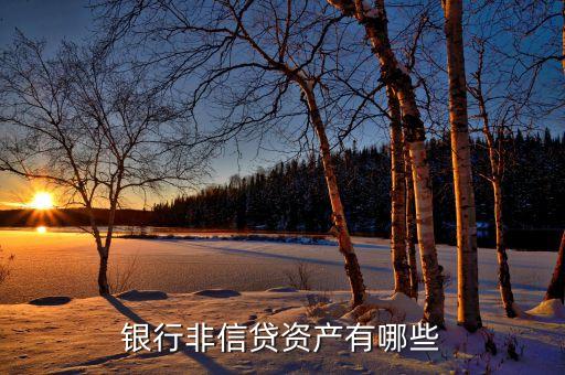非信貸業(yè)務(wù)是什么，什么是銀行的非信貸資產(chǎn)