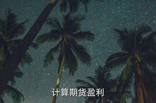 計算期貨盈利