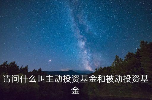 請問什么叫主動投資基金和被動投資基金