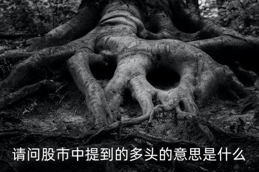 請(qǐng)問(wèn)股市中提到的多頭的意思是什么