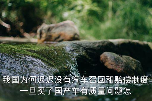 我國為何遲遲沒有汽車召回和賠償制度一旦買了國產(chǎn)車有質(zhì)量問題怎