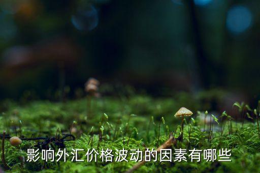 影響外匯價(jià)格波動(dòng)的因素有哪些