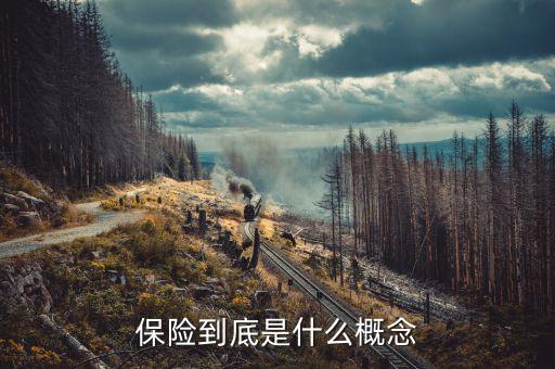 保險究竟是什么，保險到底是什么概念
