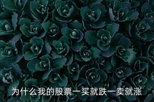 為什么我的股票一買就跌一賣就漲