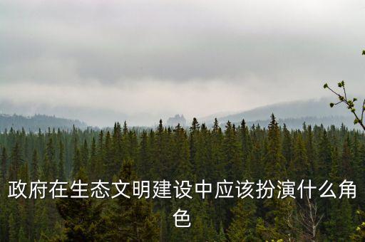 政府在生態(tài)文明建設中應該扮演什么角色