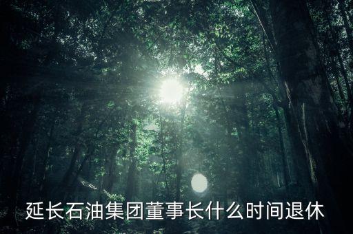 延長石油集團(tuán)董事長什么時(shí)間退休