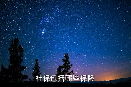 社保保險(xiǎn)保些什么，社會(huì)保險(xiǎn)包括哪些險(xiǎn)