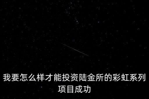 我要怎么樣才能投資陸金所的彩虹系列項(xiàng)目成功