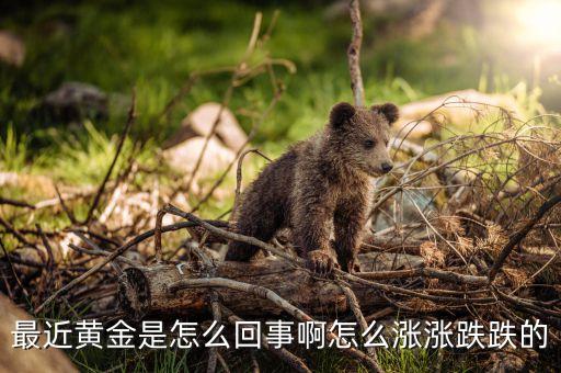 最近黃金為什么上漲，最近黃金是怎么回事啊怎么漲漲跌跌的