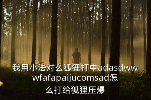 我用小法對么狐貍打中adasdwwwfafapaijucomsad怎么打給狐貍壓爆