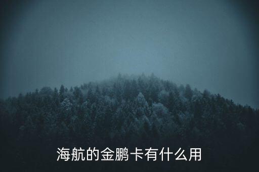海航的金鵬卡有什么用