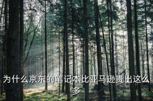 為什么京東的筆記本比亞馬遜貴出這么多