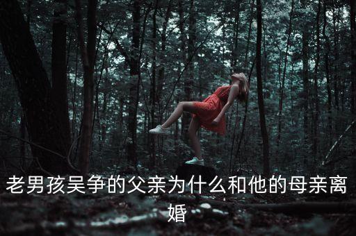 馮民堂為什么離婚，馮雪為什么和老公離婚