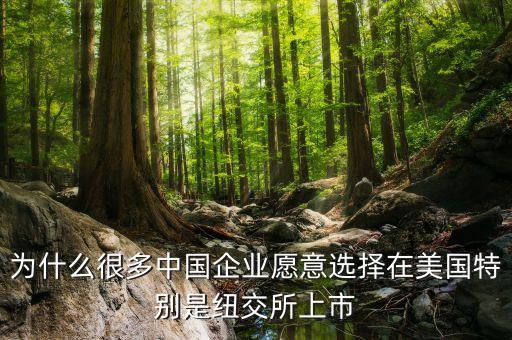 為什么很多中國(guó)企業(yè)愿意選擇在美國(guó)特別是紐交所上市
