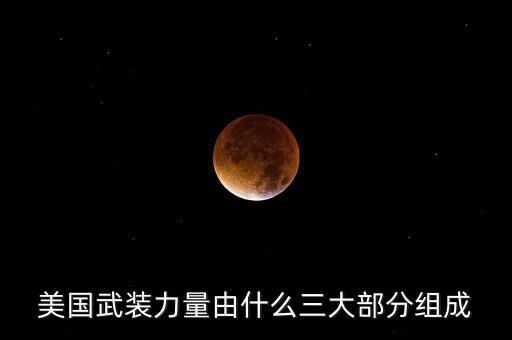 美國武裝力量由什么三大部分組成