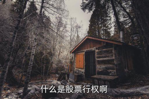 什么是股票施權(quán)價(jià)，什么是企業(yè)員工股票期權(quán)