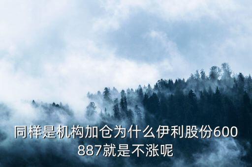 伊利股票為什么不上漲，伊利股份為什么橫盤不漲