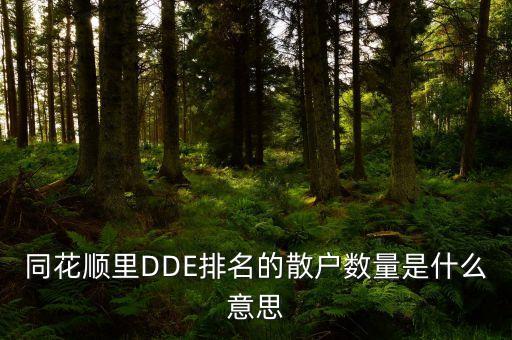 同花順里DDE排名的散戶數(shù)量是什么意思