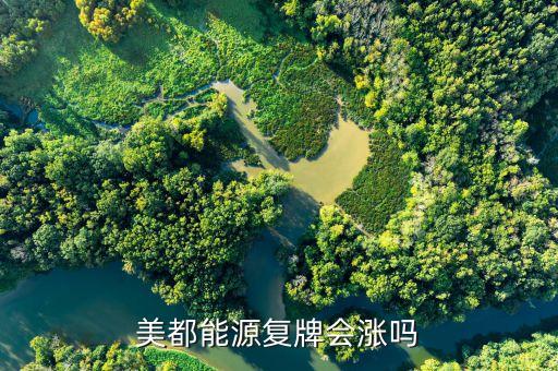美都能源復牌會漲嗎