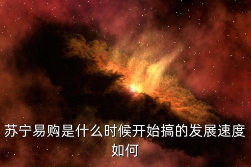 蘇寧易購是什么時候開始搞的發(fā)展速度如何